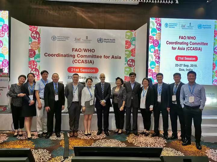 嘉興粽子”將走向世界！粽子國際標準獲得立項